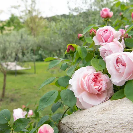 Farm stay Casa Minotti Relais