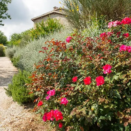 Casa Minotti Relais Фермерский дом