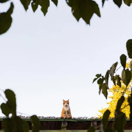 Alloggio per agriturismo Casa Minotti Relais *