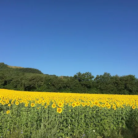 Casa Minotti Relais Фермерский дом *