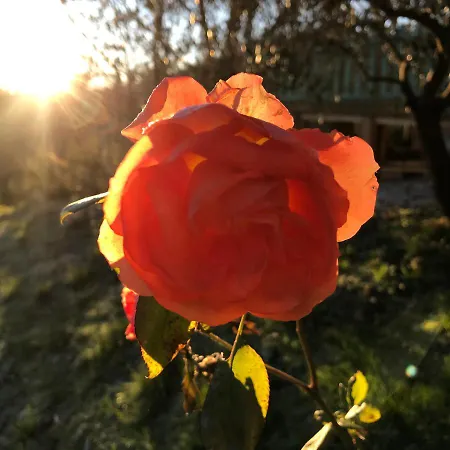 Casa Minotti Relais *