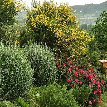 Casa Minotti Relais *