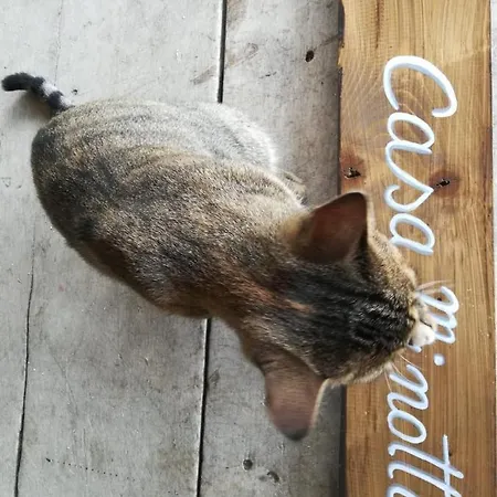 Casa Minotti Relais Фермерский дом *