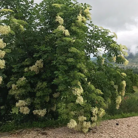 Casa Minotti Relais *