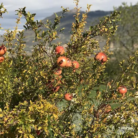 Фермерский дом Casa Minotti Relais Губбио