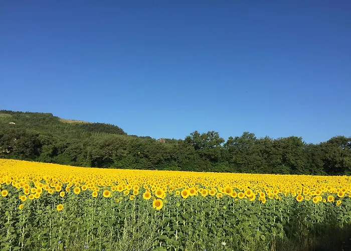 Casa Minotti Relais Vakantieboerderij *