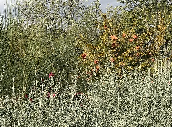 Casa Minotti Relais Vakantieboerderij *