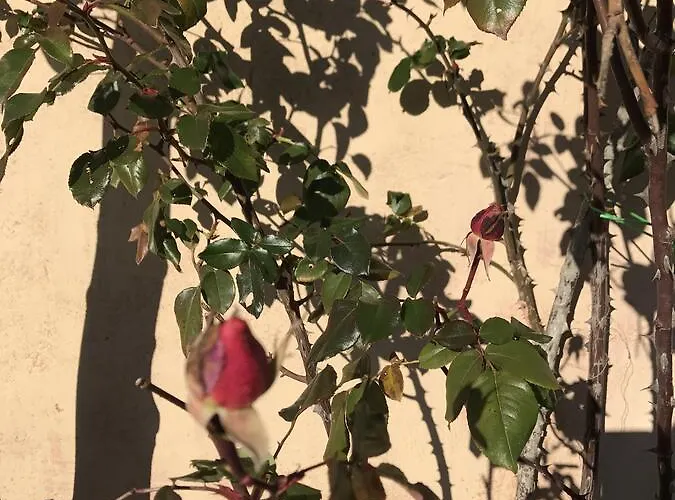 Casa Minotti Relais Vakantieboerderij