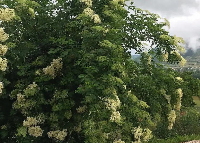 Casa Minotti Relais *